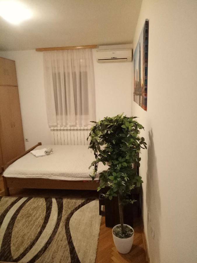 Cozy Studio בלגרד מראה חיצוני תמונה