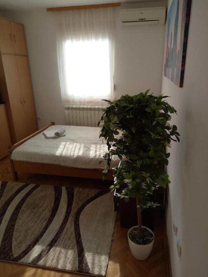 Cozy Studio בלגרד מראה חיצוני תמונה