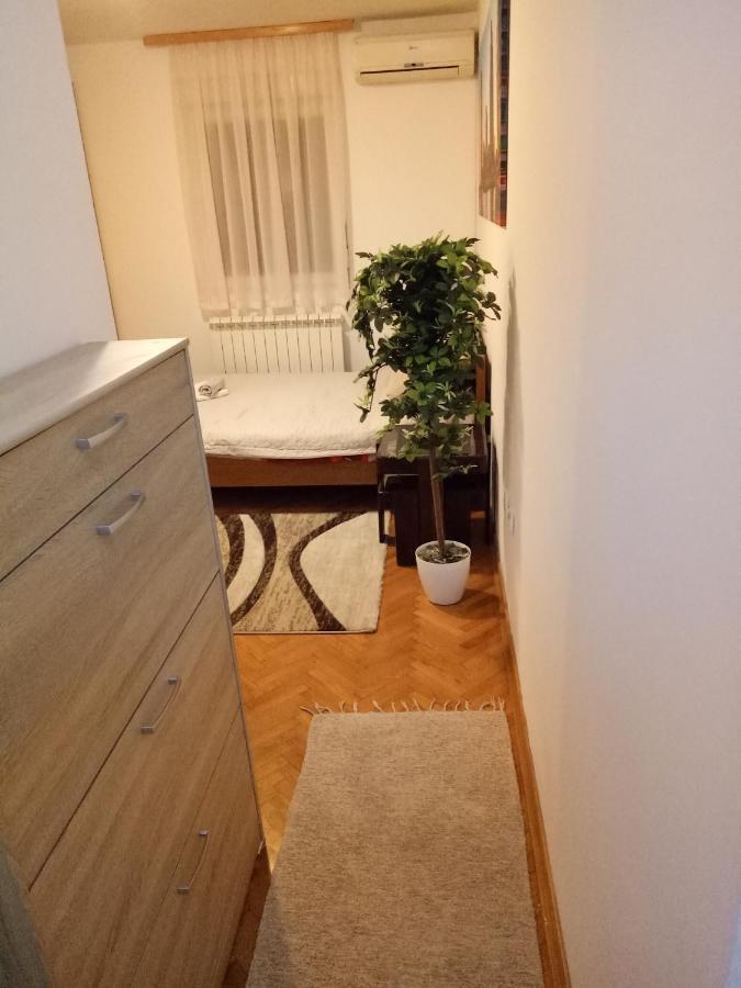 Cozy Studio בלגרד מראה חיצוני תמונה